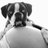Profile Picture of Alberto Juana Pompa (@Ajuana1177) on Twitter