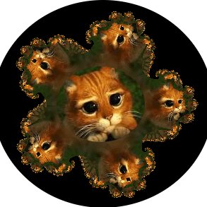 Catfractal