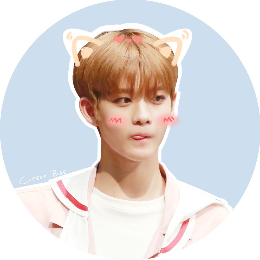 #워너원 #WANNAONE #배진영 Choco&Cheese Mix Choose Bae