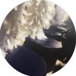 Lebo Marching Band (@lebo_band) 's Twitter Profile