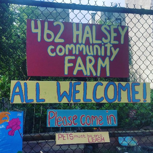 462 Halsey Community Farm
https://t.co/V0y9VsJ4yU