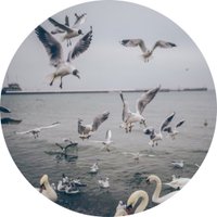 🦋🦋 (@ba7al1ba7al) 's Twitter Profile
