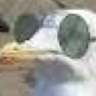 DMslider3's profile picture. wOw