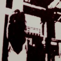 Taki Sarantakis (@takisarantakis) 's Twitter Profile