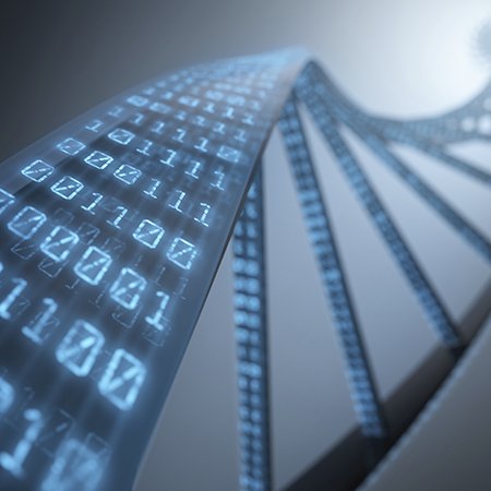 LoyolaBioinfo's profile picture. We're the Bioinformatics Program @ Loyola University Chicago.