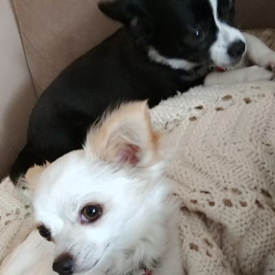 scottinwinnipeg's profile picture. 