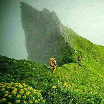 ali27455939's profile picture. ‏‏‏‏ که گفت ار نه سلطان اشارت کند...... 
که را زهر باشد که غارت کند؟
‎#سعدی