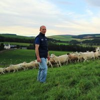 Graham Lofthouse(@bankhousefarm01) 's Twitter Profile Photo