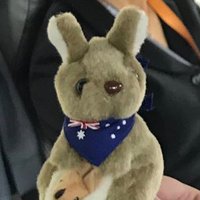 Cyber Roo (@cyber_roo) 's Twitter Profile