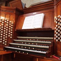 Binns Organ (@binnsorgan) 's Twitter Profile