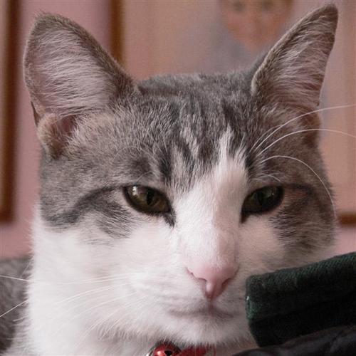 jamieG3's profile picture. Retired Sales Rep - Automotive Aftermarket - active, male, goal is to get older gracefully