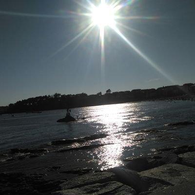 clansports's profile picture. 