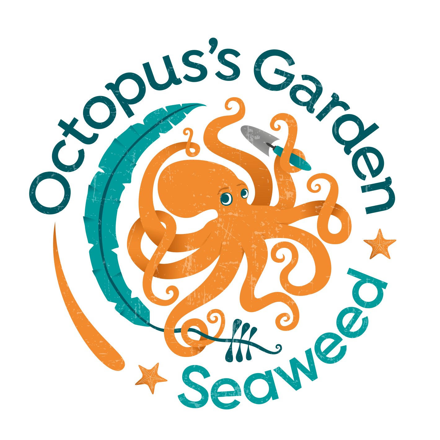 Octopus’s Garden Seaweed turns superfood seaweed into delicious products that can be used in everyday cooking.