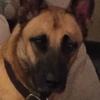 F3 Enos ๐บ๐ธ (@f3enos) 's Twitter Profile Photo F3 Enos ๐บ๐ธ (@f3enos) 's Twitter Profile Photo