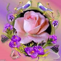 mohamed galaly (@mohamedgalaly) 's Twitter Profile Photo