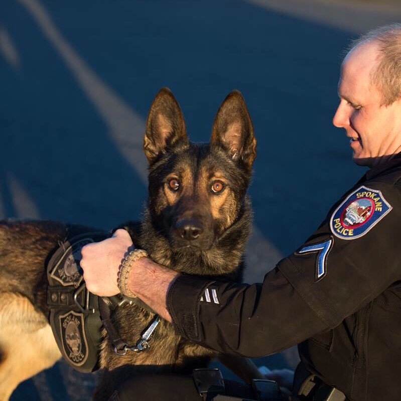 Offical Twitter account of the Spokane Police Department K9 Unit *Not monitored 24/7* Call 911 for EMERGENCIES