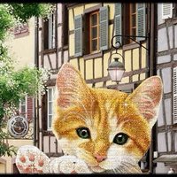 ❤ Melodie68 ...ツ🌸🔆🕊️ (@melodie68) 's Twitter Profile