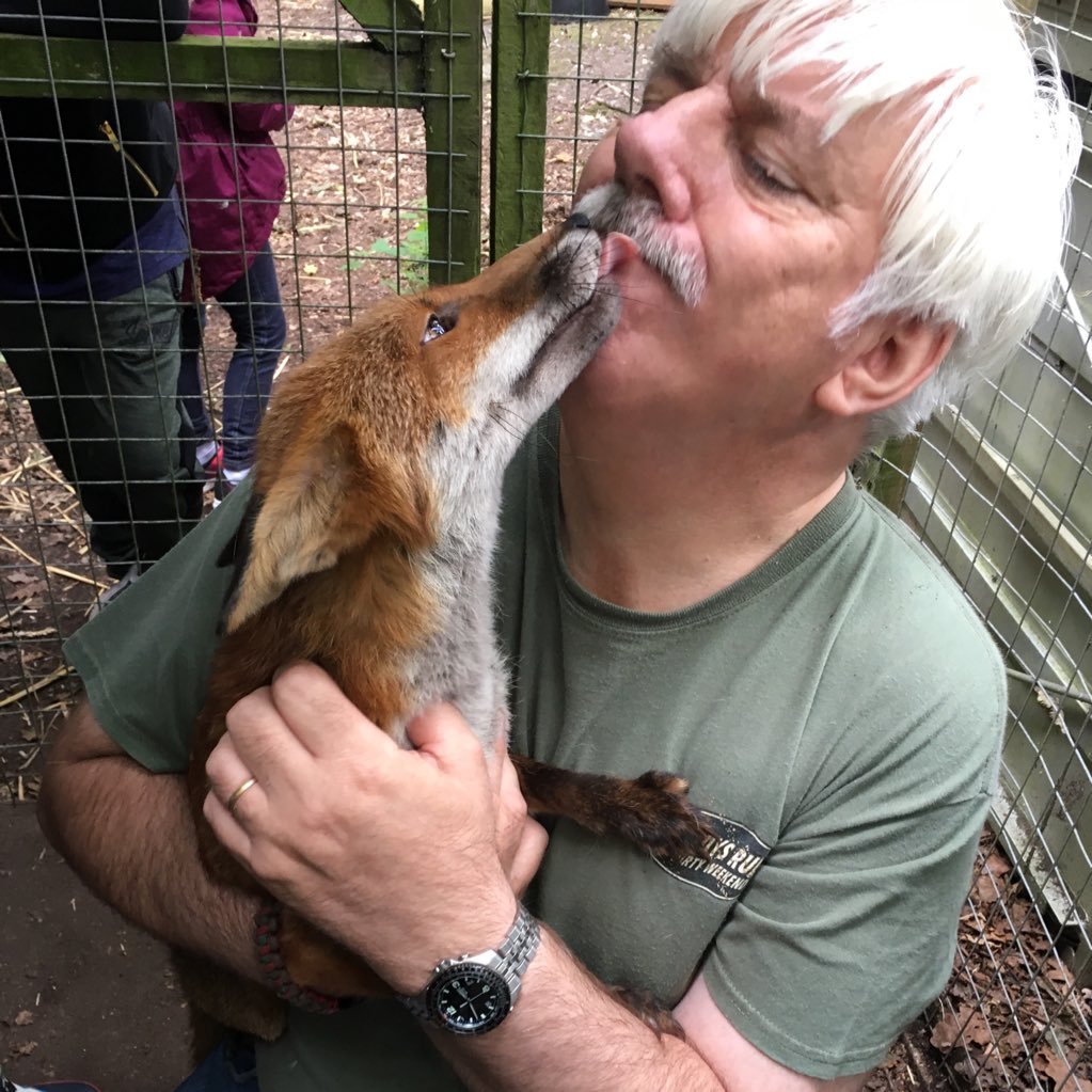 PTSD survivor saved by a lion called Big Boy in Africa. These tweets in no way represent the views of Lower Moss Wood.