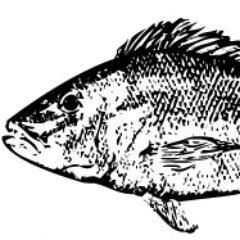 Coalition of chefs, fishermen & conservationists advocating for responsible, fair & sustainable fisheries management.