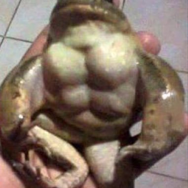 Cc74664425's profile picture. love cc