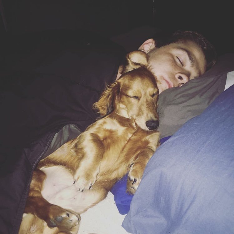 Probably too busy napping right now. https://t.co/sHc8DyCgMa