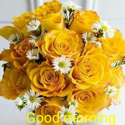 Sandy36104018's profile picture. News Entertainment Breaking News Government and Politics Government & Public Utilitie