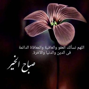 يامرحبا تراحيب المطر 440 7855 Twitter