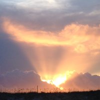 Inga Mast (@ingamast) 's Twitter Profile