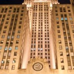 olivetrader2's profile picture. 