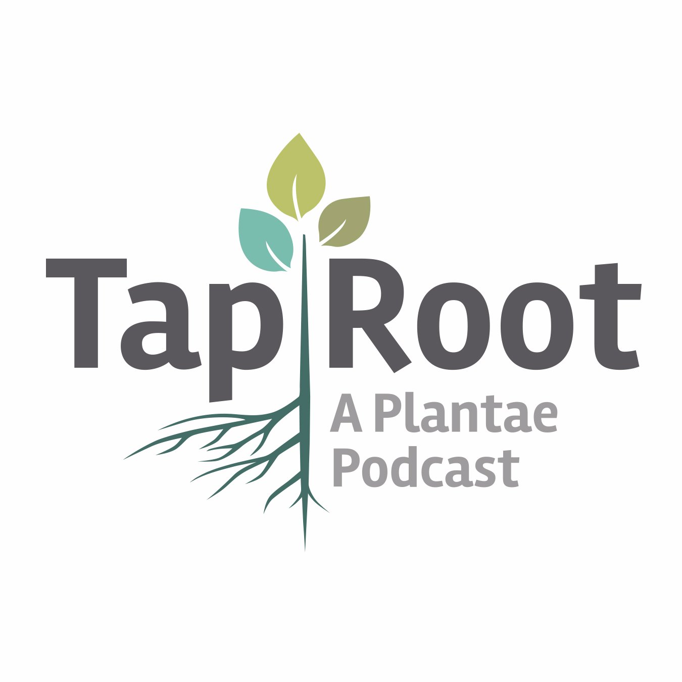 The Taproot is a @Plantae_org podcast that digs beneath the surface to find out how scientific publications are created & discuss the story behind #plantsci.