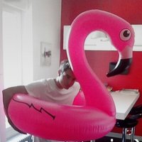 parichien (@hugolnt) 's Twitter Profile