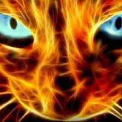 Fullerqerty's profile picture. 🕵️🐯