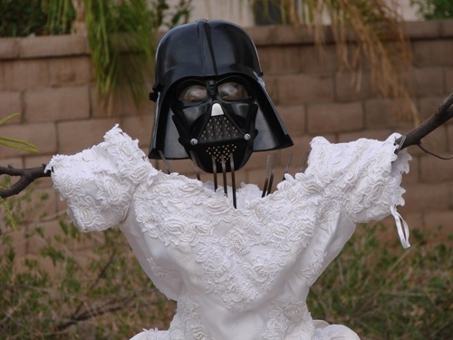 exweddingdress's profile picture. Kevin Cotter, author of 101 Uses For My Ex-Wife's Wedding Dress