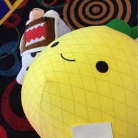Michael DeGroot (@mikethegroot) 's Twitter Profile