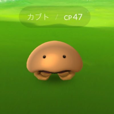 愛しのカブト ポケモンgo Macha Twitter 愛しのカブト ポケモンgo Macha Twitter