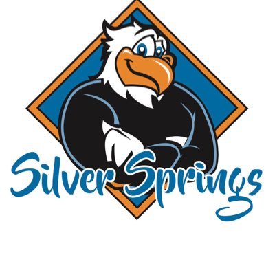 sspringselem Profile Picture