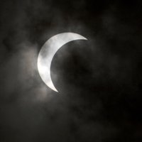 Charles Palla (@chazpalla) 's Twitter Profile