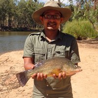 FOYEZ SHAMS (@foyezshams) 's Twitter Profile Photo