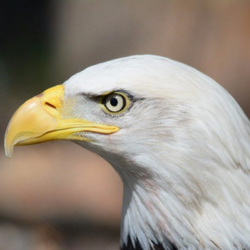 kansai_als_org's profile picture. 日本アメリカ文学会関西支部サイトの「中の人」です。関西支部サイトに掲載されたお知らせがこちらにもツイートされます。このアカウントは非公式アカウントですので組織としての日本アメリカ文学会関西支部とは関係しておりませんが「中の人」はもちろん関西支部所属です。