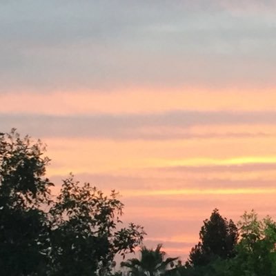 THD_5087's profile picture. 50|87|#1 - Our tweets are our own