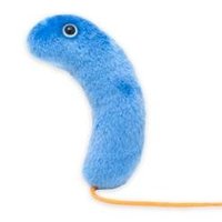 Doerr Lab (@doerrlab) 's Twitter Profile Photo Doerr Lab (@doerrlab) 's Twitter Profile Photo