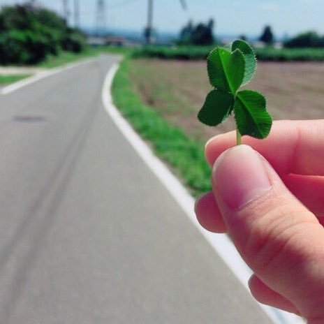 hharuka___0330's profile picture. フォロー外してください