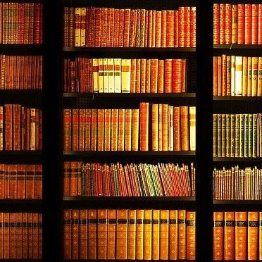 KnowledgeVault7's profile picture. 