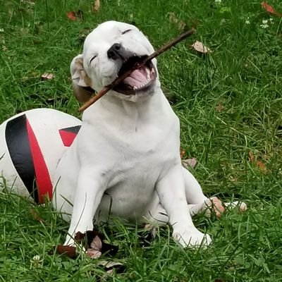 _forgotusername's profile picture. 