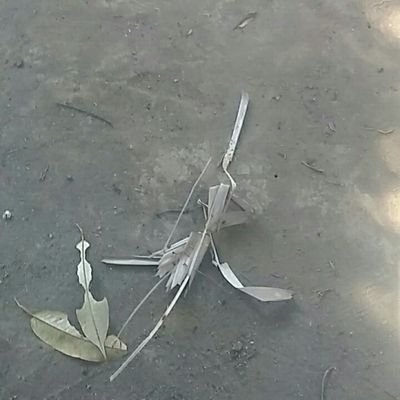 kamang_aria's profile picture. work hard stay ☺  stay optimised and always  to smile☺☺☺✌✌