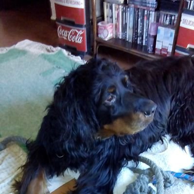 F,1, GP. #44 LH . MotoGp. cooking, reading, Adore my dog. Tennis, sunshine, NO PORN!. Peace Tranquility NO Stress. films, peaceful private life. no aggre MANNER