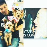 よっしー38🌸🤟🌺4/12,13BD💎🐬遠征はキャンセル😭➡️🦑🎈➡️💎🐬 (@20110102sakura) 's Twitter Profile Photo よっしー38🌸🤟🌺4/12,13BD💎🐬遠征はキャンセル😭➡️🦑🎈➡️💎🐬 (@20110102sakura) 's Twitter Profile Photo