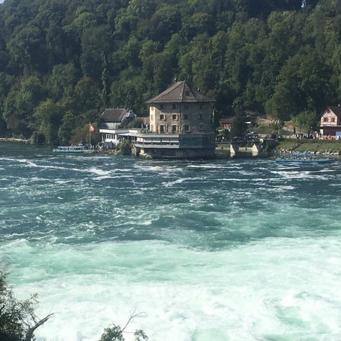 2023rainy's profile picture. 