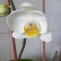 Miss M (@educationsls) 's Twitter Profile
