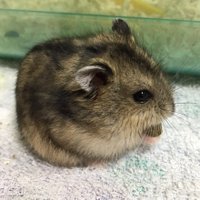 ちぃ (@franchii11) 's Twitter Profile Photo